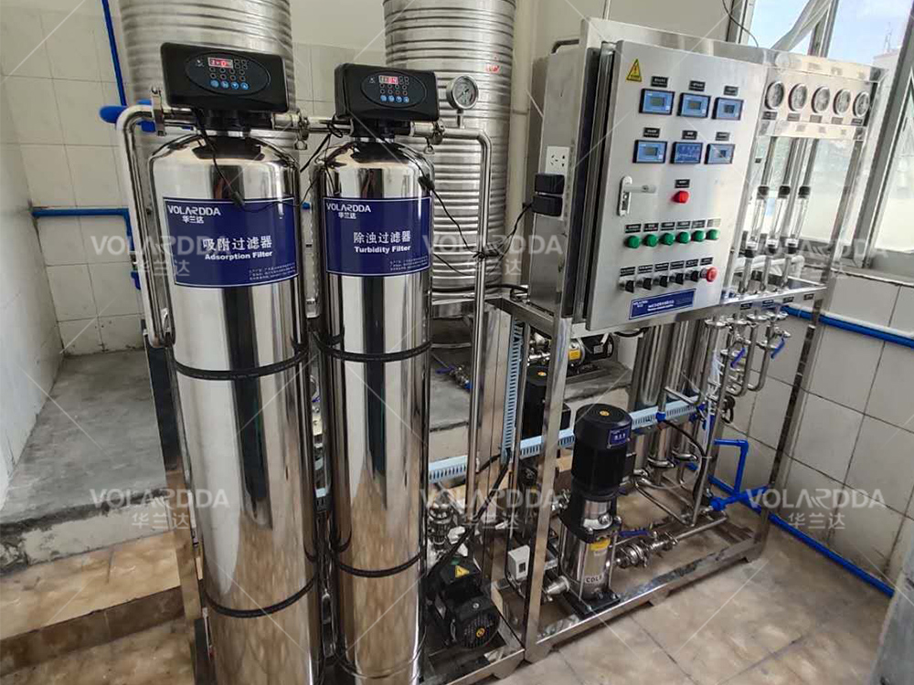 750LPH Two stage reverse osmosis purification water equipment