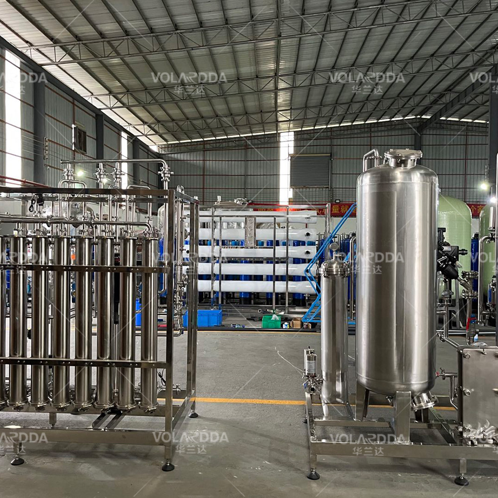 1T double EDI stainless steel water purification equipment