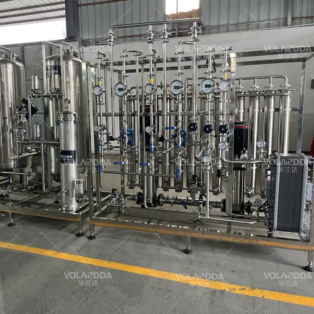 1T double EDI stainless steel water purification equipment